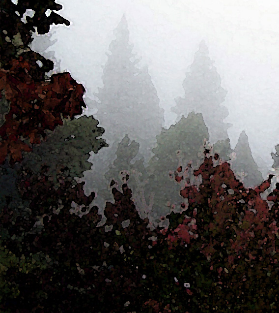 Yesterday's fog heralded today's storm ...