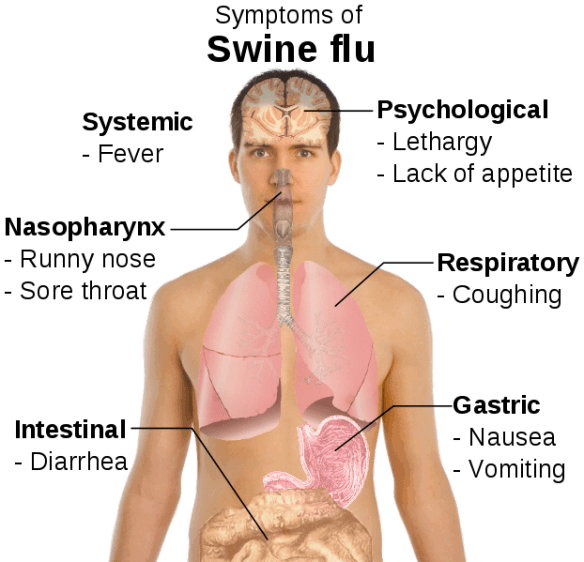 symptoms_of_swine_flu_svg