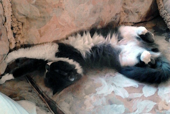 "I wish I could relax..."