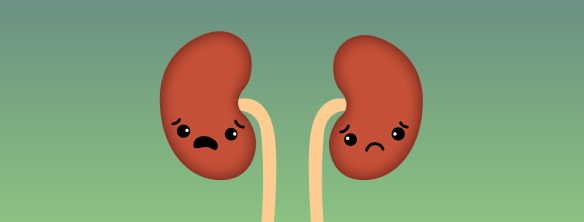 kidneys-ranet-hu
